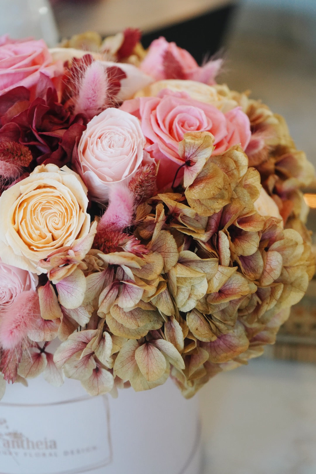 The Signature Antheia Collection